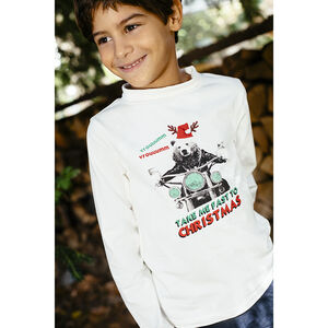 Sous-pull col cheminée print ours esprit Noël 