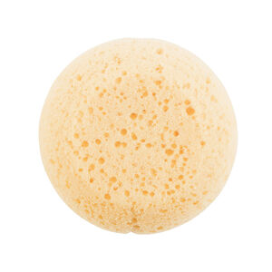 Φυσικό σφουγγάρι 