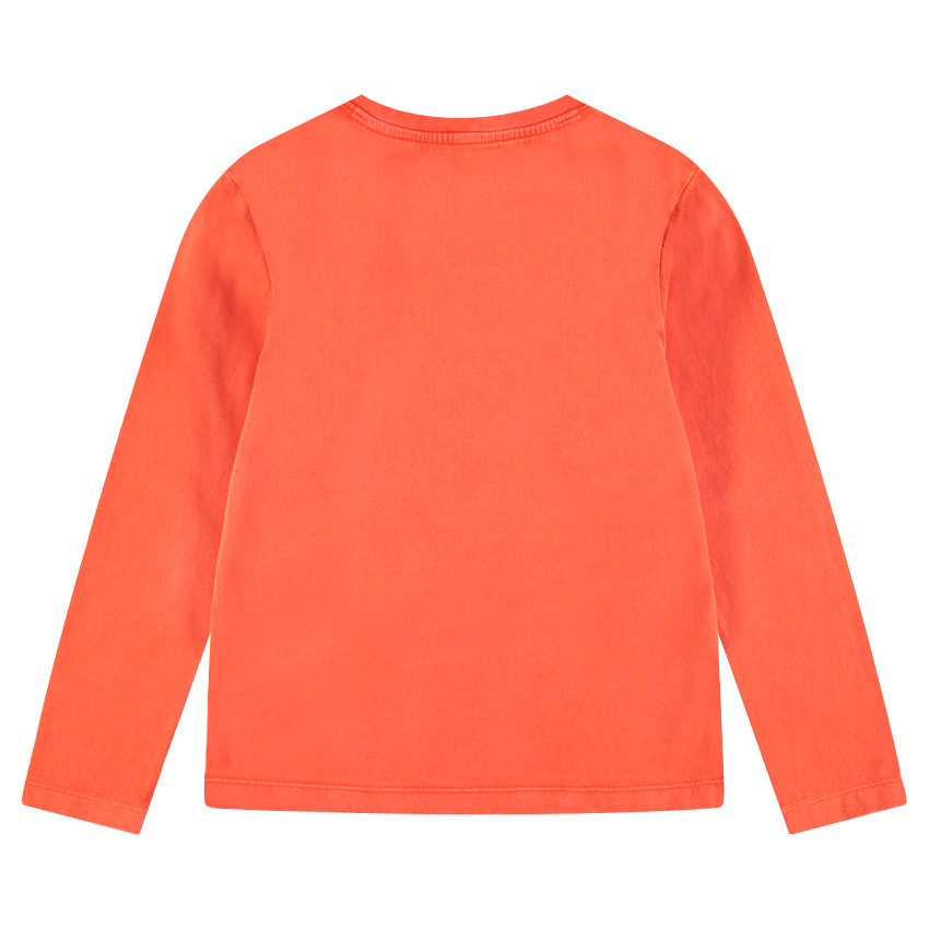 Παιδικά - Μακρυμάνικη μπλούζα από ζέρσεϊ με κεντημένη τίγρη στάμπα 