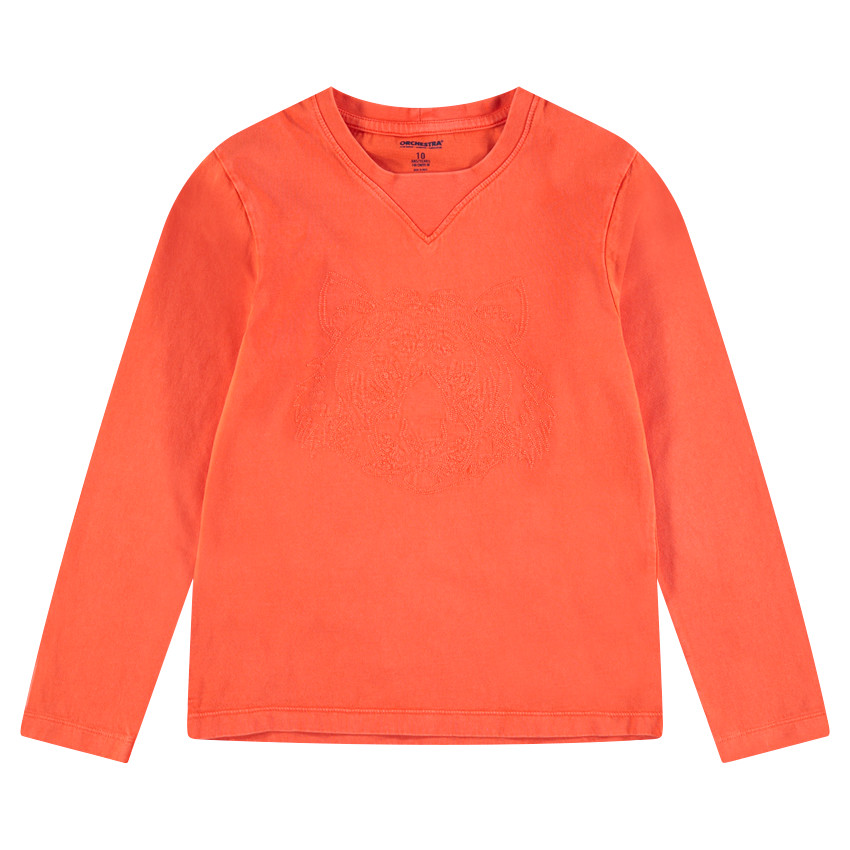 Παιδικά - Μακρυμάνικη μπλούζα από ζέρσεϊ με κεντημένη τίγρη στάμπα 