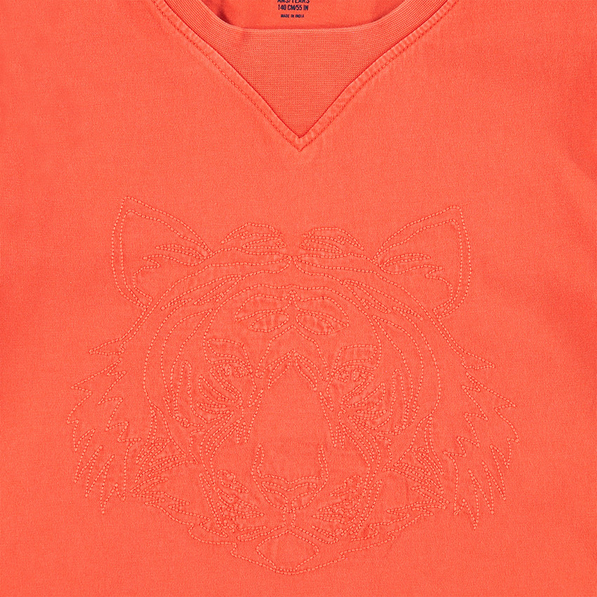 Παιδικά - Μακρυμάνικη μπλούζα από ζέρσεϊ με κεντημένη τίγρη στάμπα 