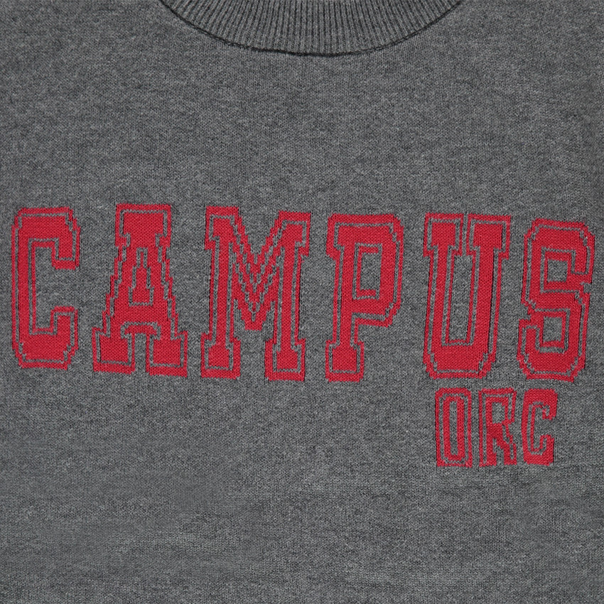 Παιδικά - Πλεκτό σε γκρι μελανζέ με τυπωμένο μήνυμα μπροστά 