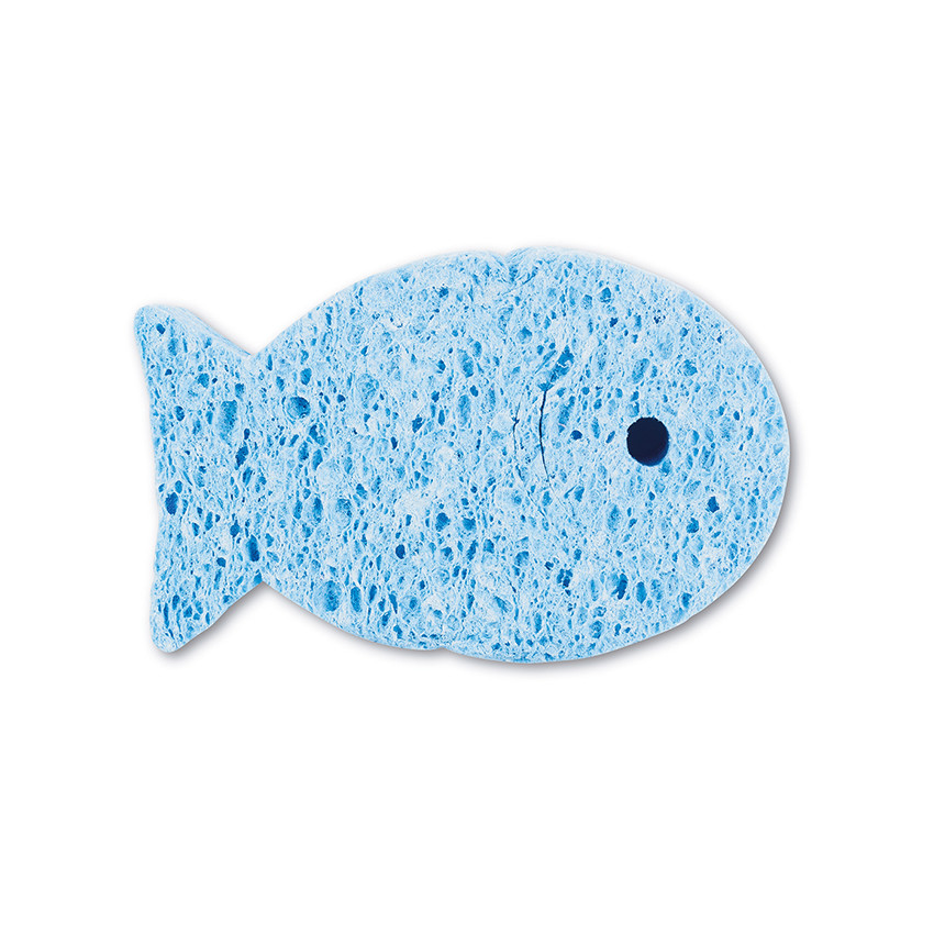 Φυσικό σφουγγάρι 