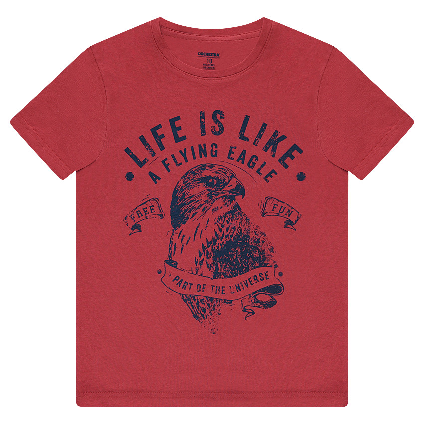 Κοντομάνικη μπλούζα από ζέρσεϊ με στάμπα αετό 