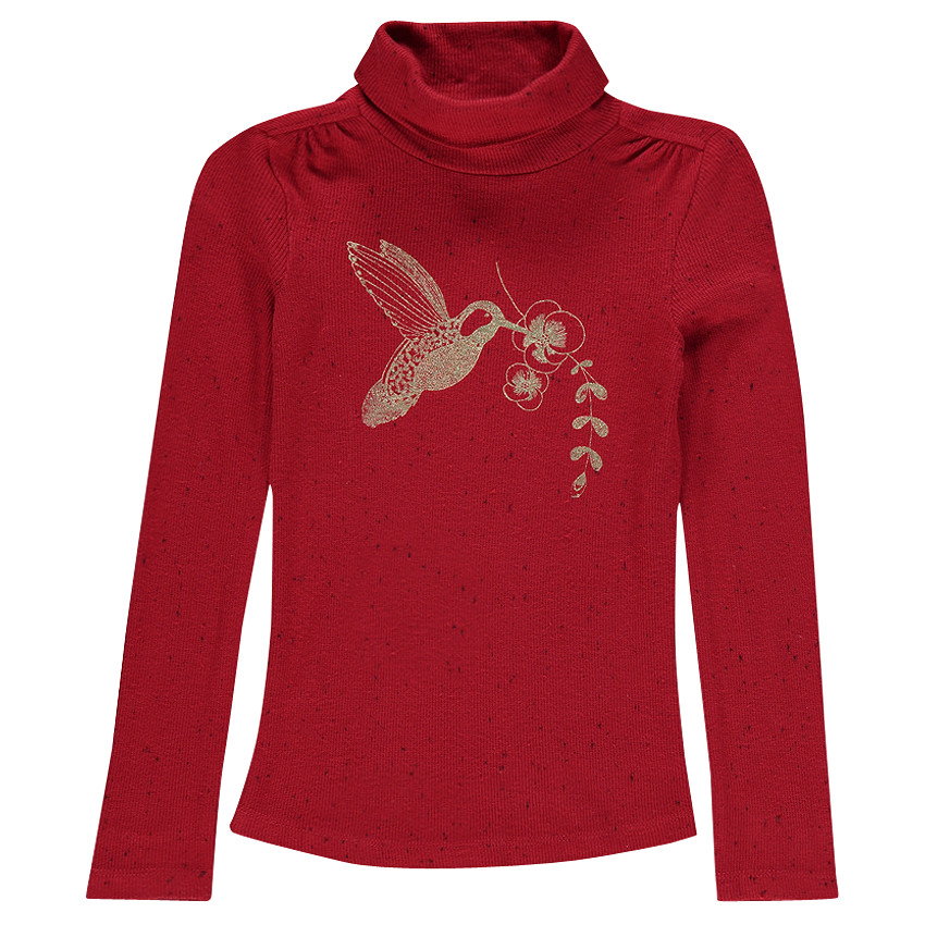 Sous-pull col roulé à côtes effet neps avec print oiseau 