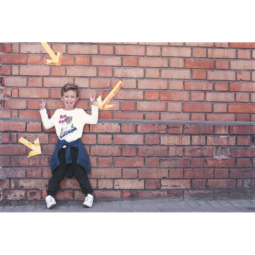 Μακρυμάνικη μπλούζα από ζέρσεϊ με διακοσμητική στάμπα 