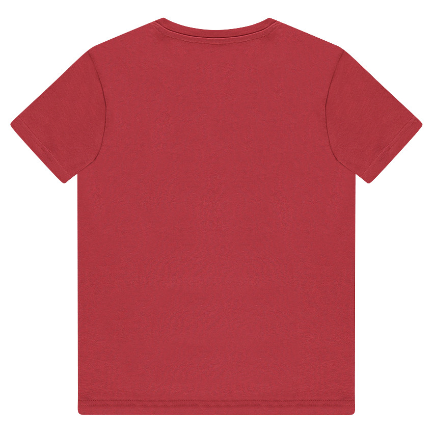 Κοντομάνικη μπλούζα από ζέρσεϊ με στάμπα αετό 