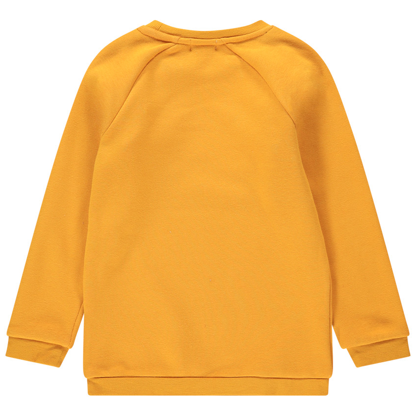 Φούτερ από φανέλα με επένδυση από sherpa και ουράνιο τόξο από πούλιες 