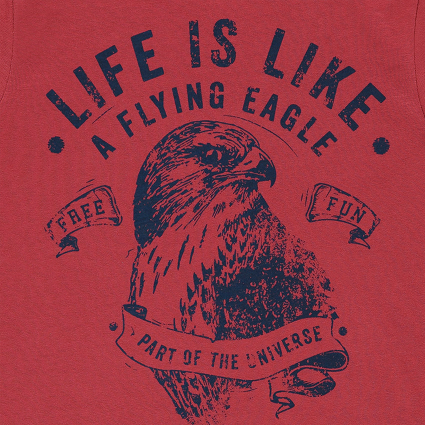 Κοντομάνικη μπλούζα από ζέρσεϊ με στάμπα αετό 