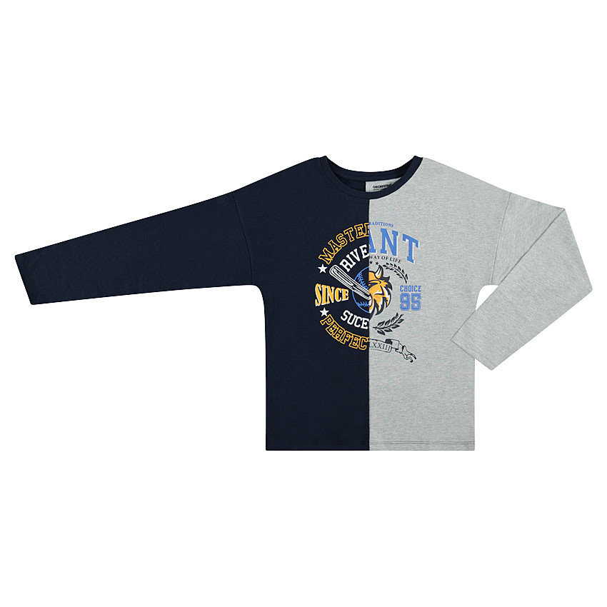 Δίχρωμη μακρυμάνικη μπλούζα με διακοσμητικό μοτίβο 