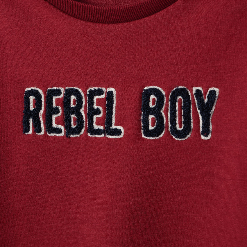 Sweat en molleton contrecollé sherpa à inscription brodée 