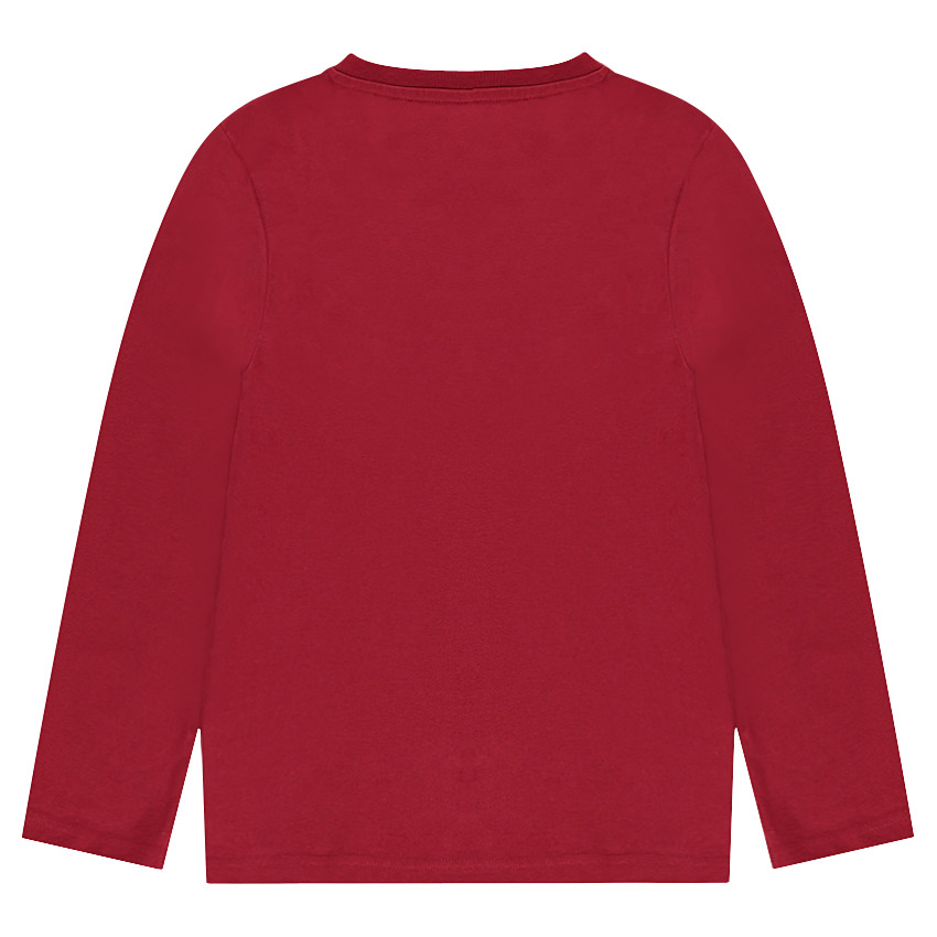 Μακρυμάνικη μπλούζα από μονόχρωμο ζέρσεϊ με διακοσμητική στάμπα 