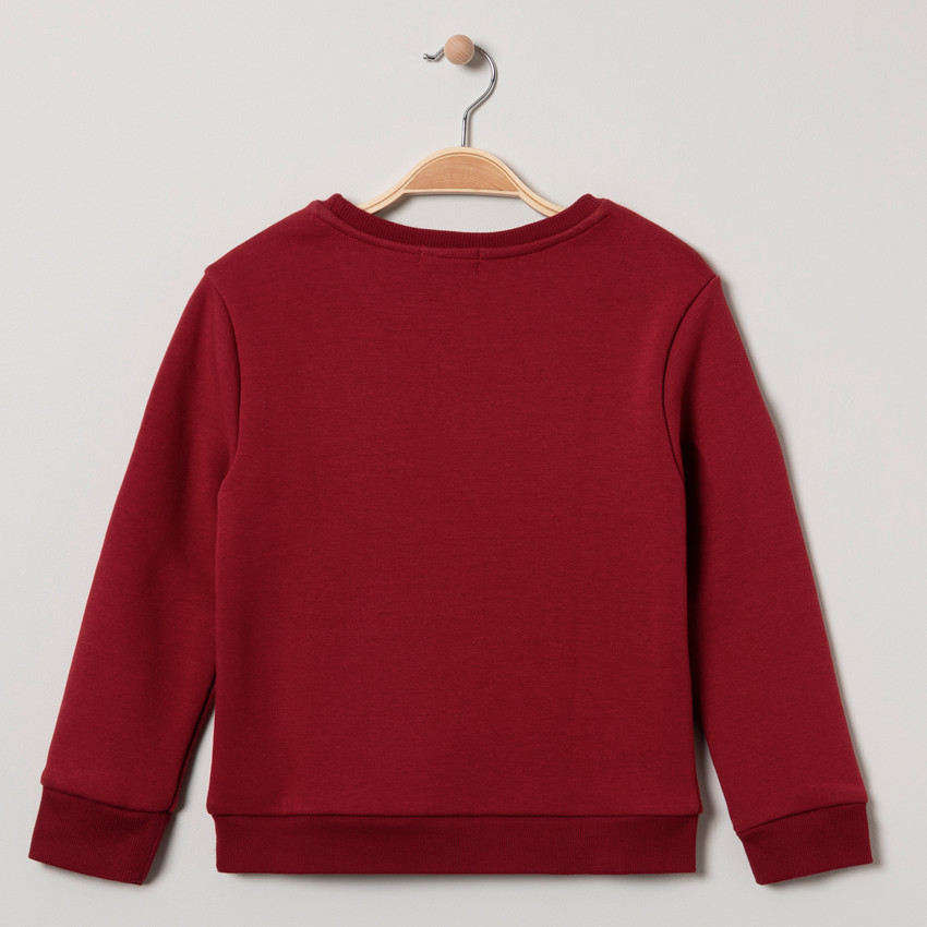 Sweat en molleton contrecollé sherpa à inscription brodée 