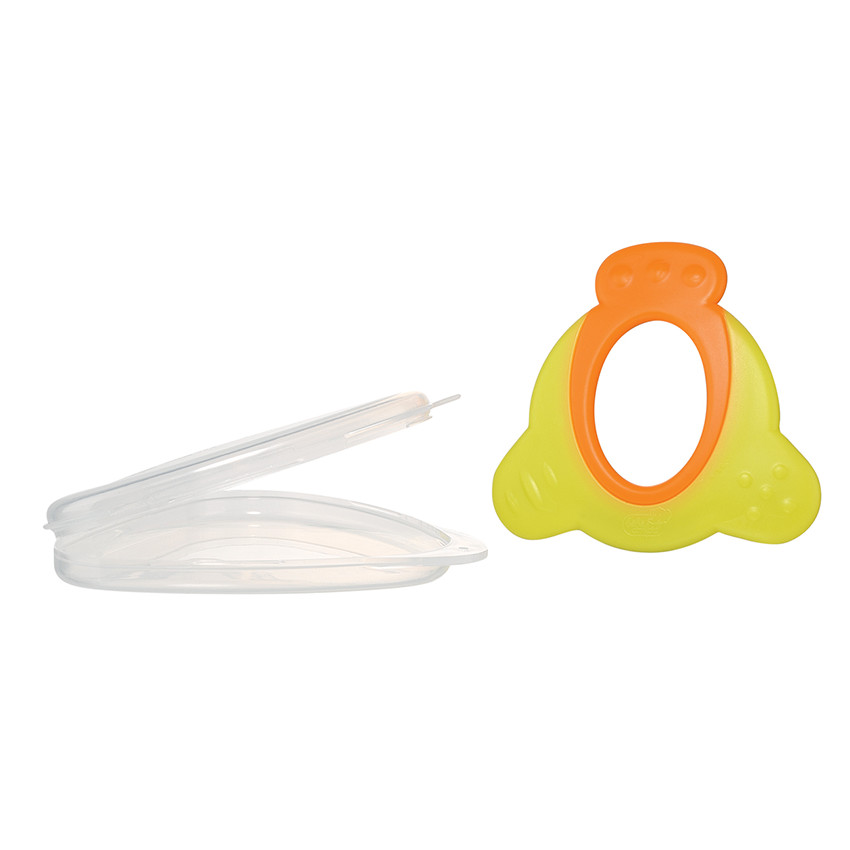 Κρίκος  οδοντοφυίας (6Μ+) 