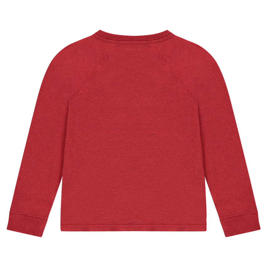 Παιδικά - Μακρυμάνικη μπλούζα ζέρσεϊ με στάμπα τίγρη 